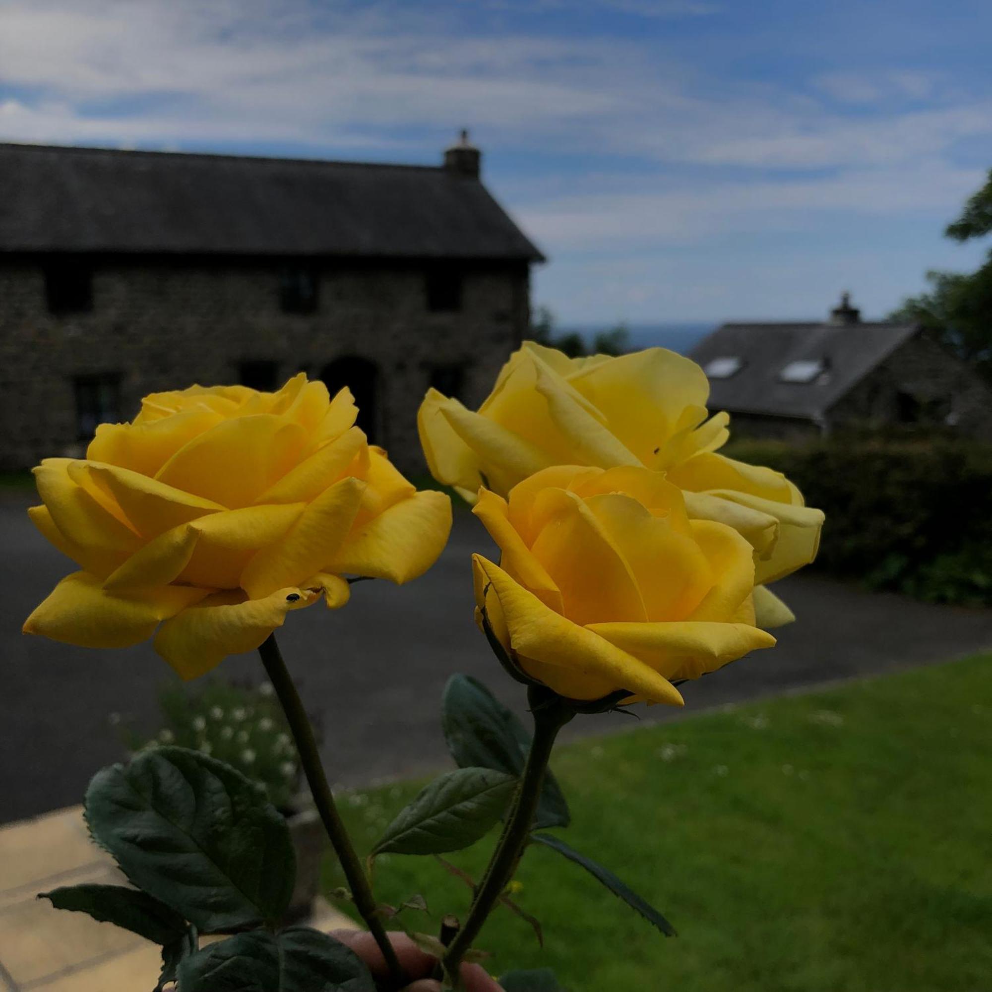 The Old Farmhouse B&B Dyffryn Ardudwy 外观 照片