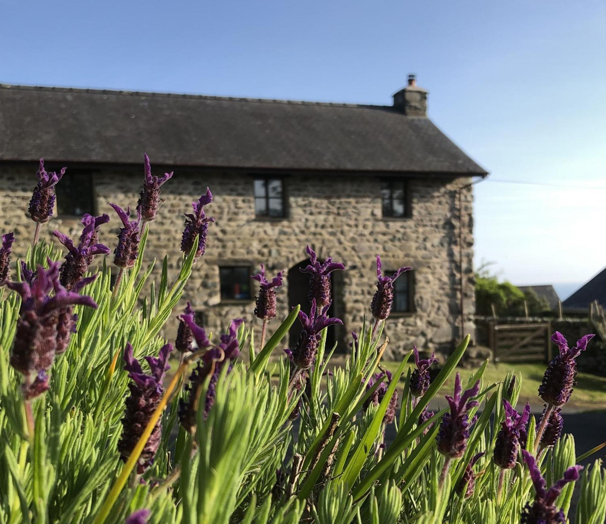 The Old Farmhouse B&B Dyffryn Ardudwy 外观 照片